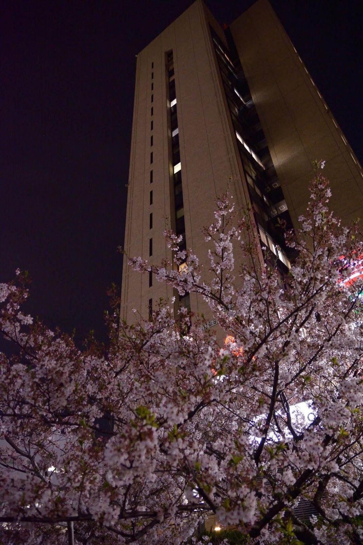 Tokyo Central Youth Hostel Exteriér fotografie